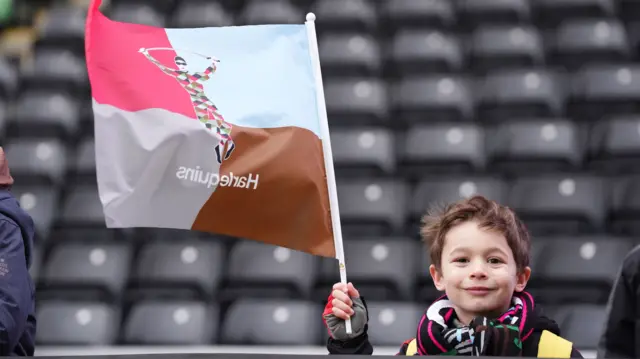 Harlequins fan