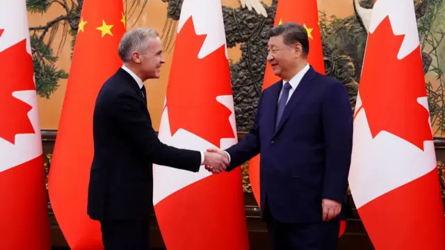 Carney shakes hands with Xi