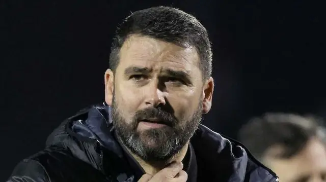 Linfield manager David Healy