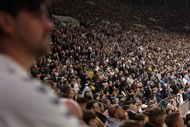 Tottenham supporters