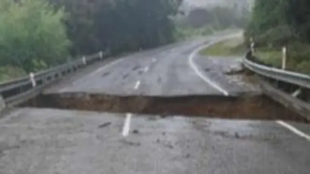 Before the hill Te Araroa