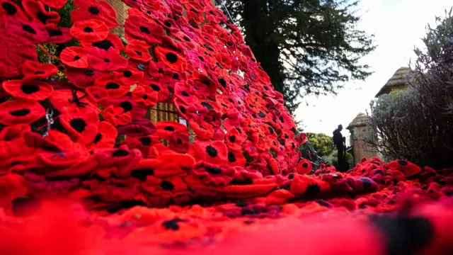 Poppies on a display in Worcestershire
