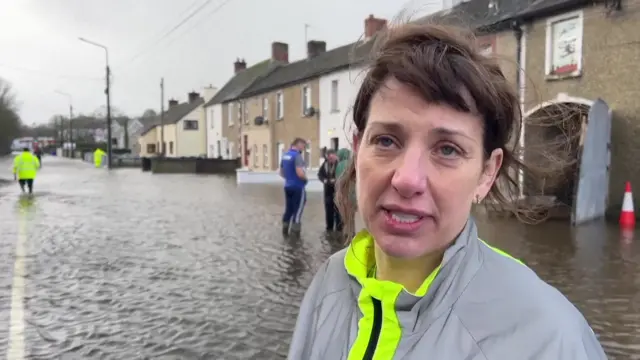 Diane Dorman in Wexford