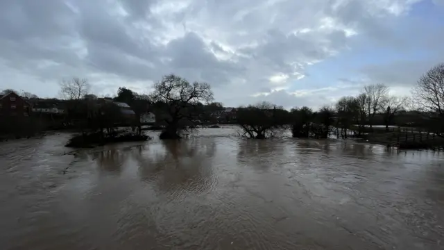 Impact of heavy rain on River Otter