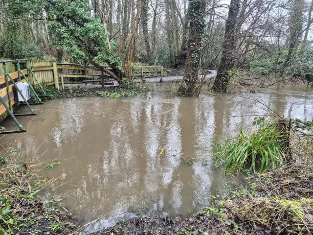 A woodland area with lots of bare trees and bracken. A path runs through it, with a small wooden bridge over what is clearly usually a small stream but is now a much wider body of water, coming up onto the leaf-covered banks.