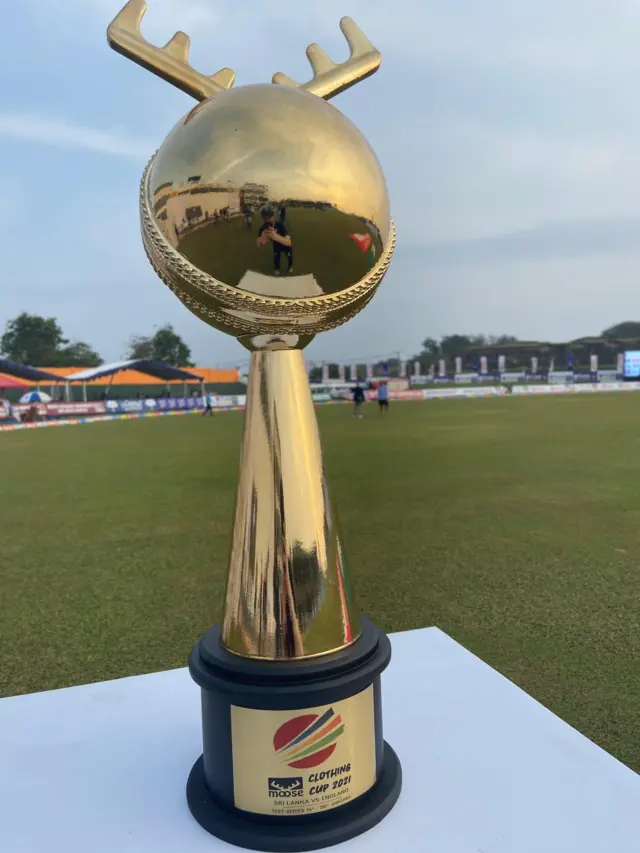 Moose trophy in Sri Lanka.