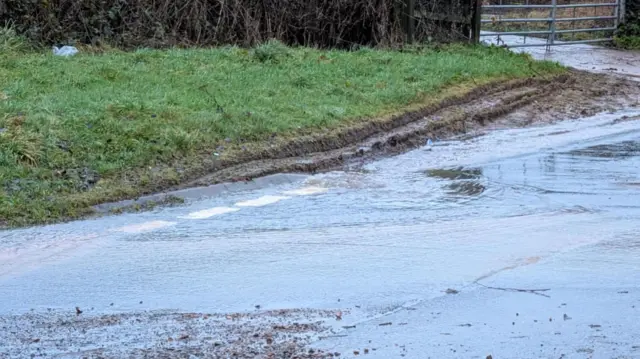 A close up of the side of the road. It is flooded.