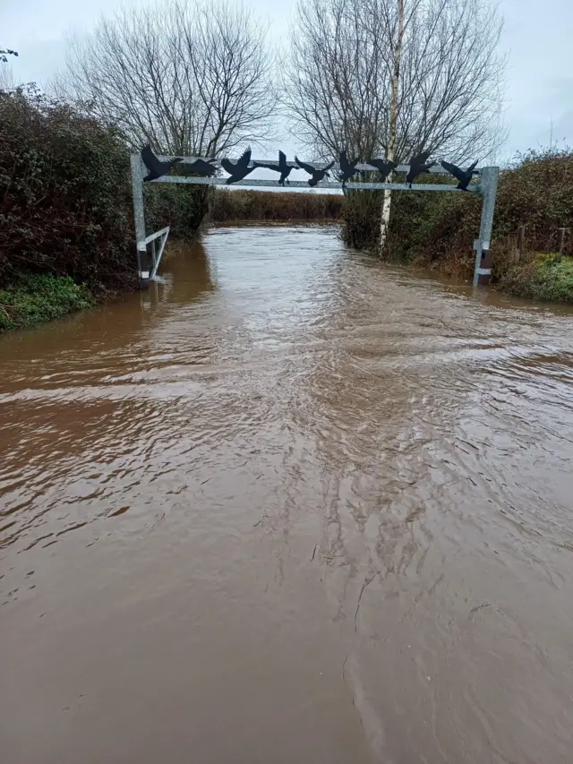 A view of the flooded grounds of Blashford Lakes Nature Reserve and Education Centre.