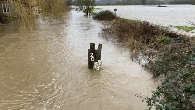 A very swollen river. A house is visible in the background, as is a willow tree. A marker shows the water is almost 2m high.