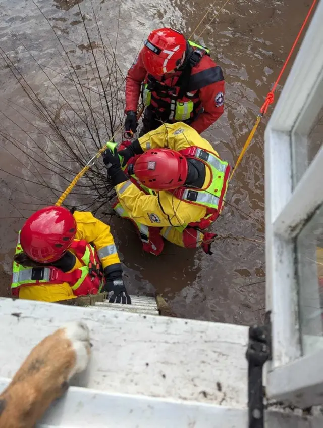 Teams from the mountain rescue team with a ladder up to the bedroom window. They have a rope and there's a dog's paw on the window ledge.