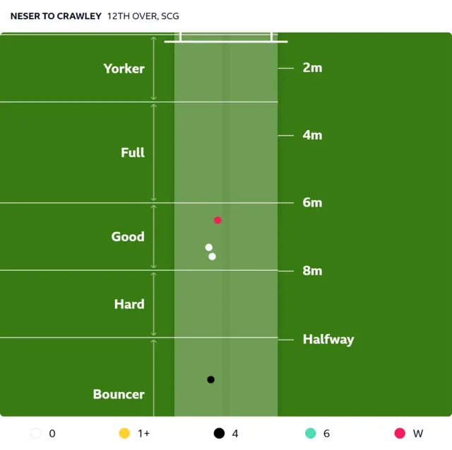Michael Neser's bowling map to Zak Crawley