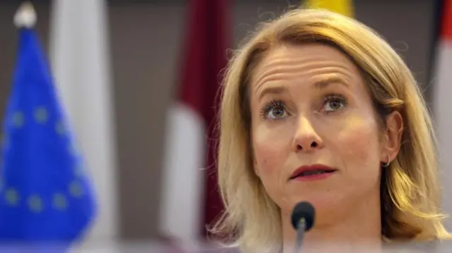 A blonde woman speaks at a microphone in front of an EU flag