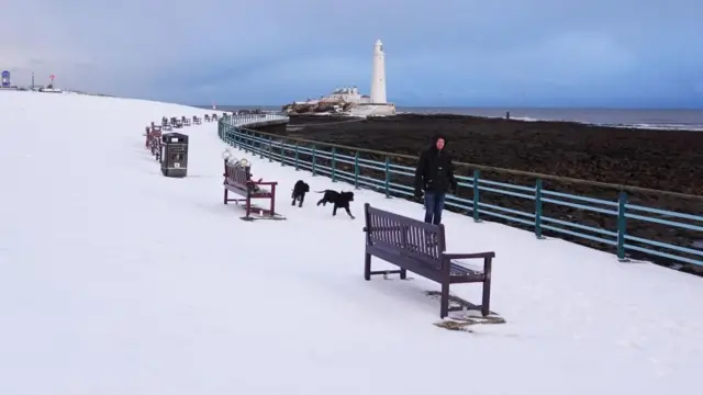 Two black dogs run along a snow coated seafront