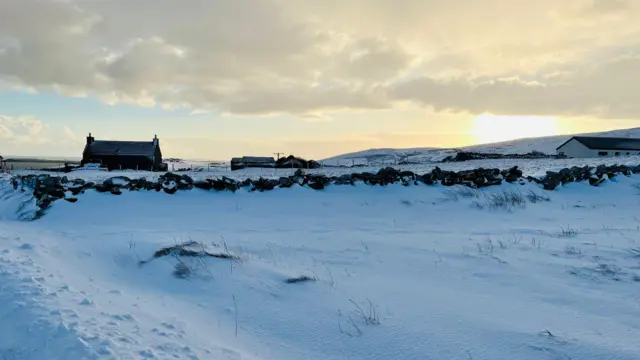 A snow-covered field with several homes in the background, with roofs also covered in snow