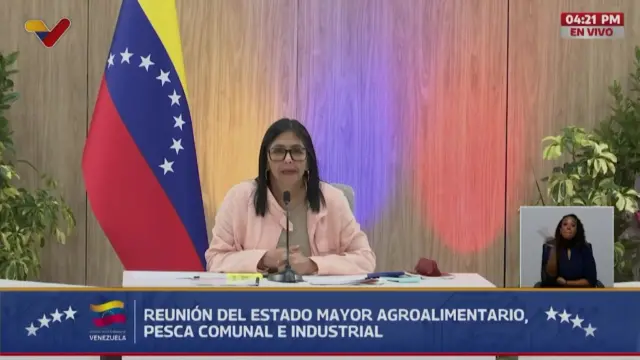 Venezuela acting president Delcy Rodriguez in a pink jacket, beige top sitting down at a desk during a televised address. Behind her wood-panelled wall, a Venezuelan flag to her right. In the bottom right of the frame, is a Black woman in a black suit translating her speech in sign language