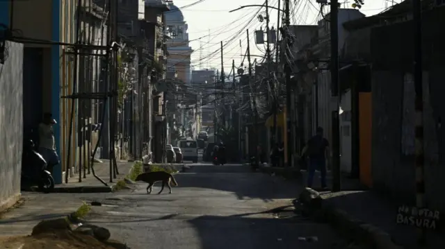 Wide shot of a near-empty street in Caracas, a dog approaching the left-side pavement after crossing the road. A man is walking in the shadowy right-side of the