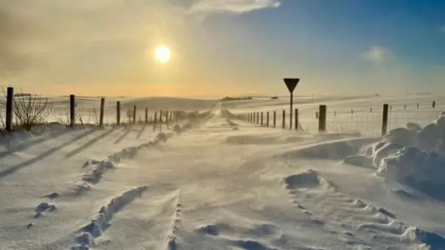 A low sun over a snow-covered field.