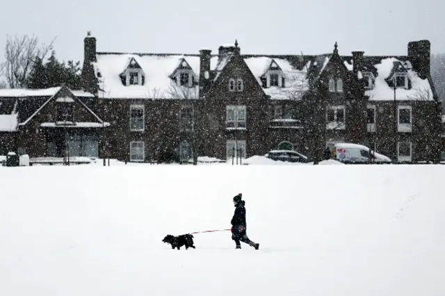 A person walks their dog in a snow-covered field with houses in the background.