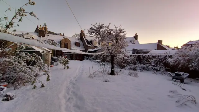 Snow in a garden and on a house.