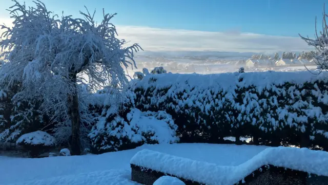 Trees and garden blanketed by snow in Aberdeen