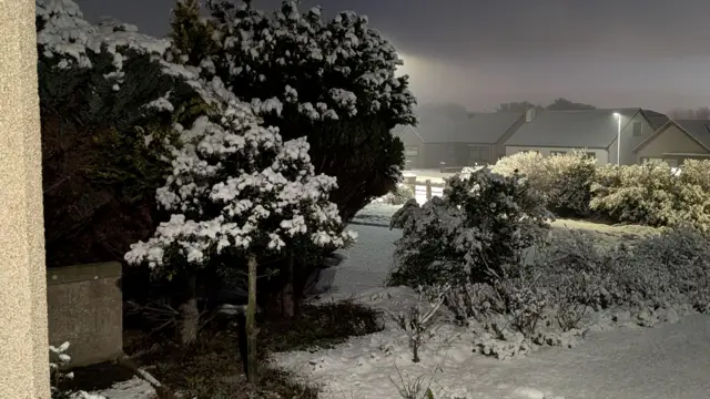 A front garden is pictured with snow covering trees and the ground