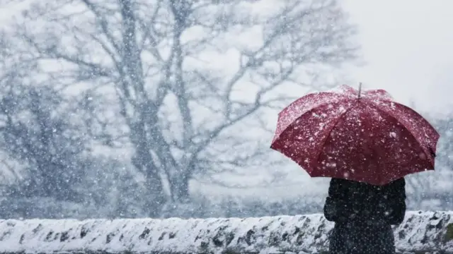 A person wearing black wearing a red umbrella looking out over a forest with snow falling down and lining the wall and the trees