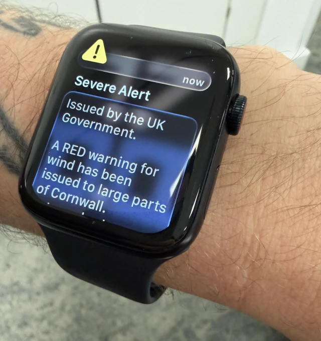 The emergency alert shown on an Apple Watch