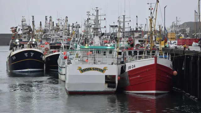 Boats in a harbour