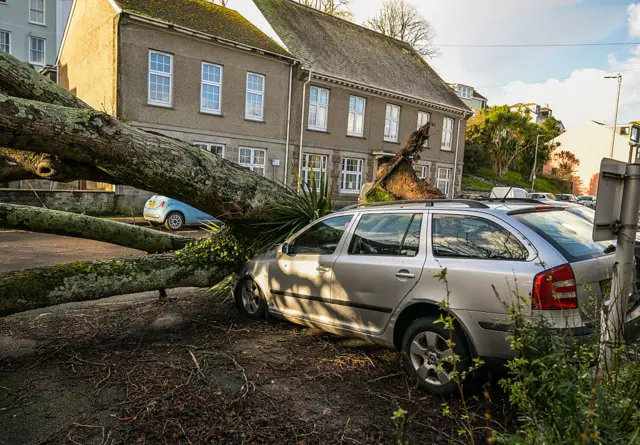 Silver estate car's bonnet crushed by a fallen tree in front of a property in Falmouth