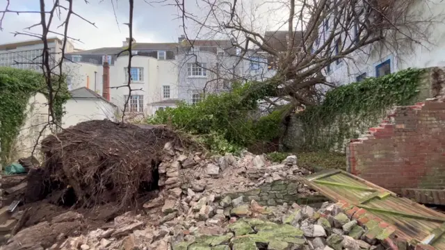 Fallen tree against property. Rubble in the foreground