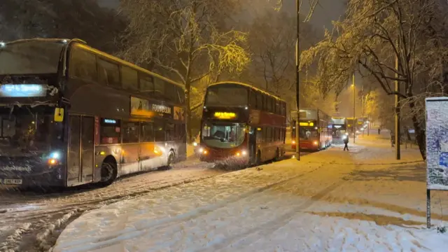 Buses