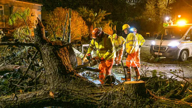 A man cutting trees in Guernsey