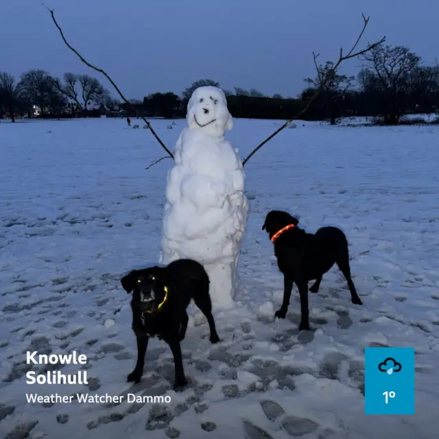 Two dogs stand next to a large snowman in the middle of the park. The snowman has a smiley face and two long, thin branches for arms.