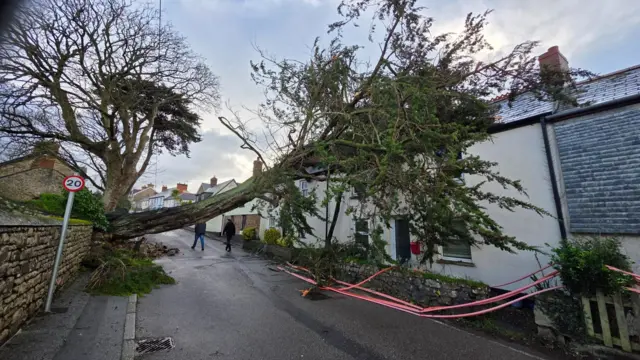 A tree has fallen into a house in Goldsithney, Cornwall