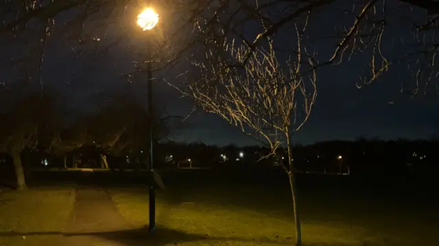 A dark field with trees and a path