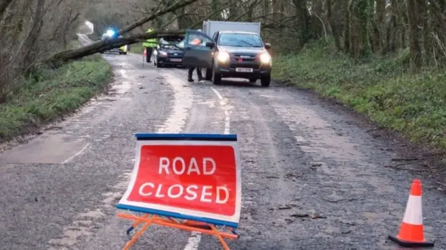A road closed after a car crashed into a tree