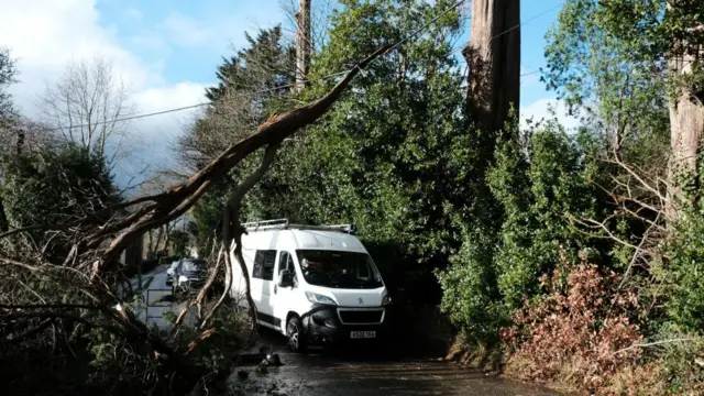 A downed tree blocks part of a road in Cornwall