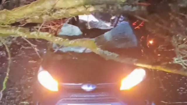 Hugh Bowen's car under a tree