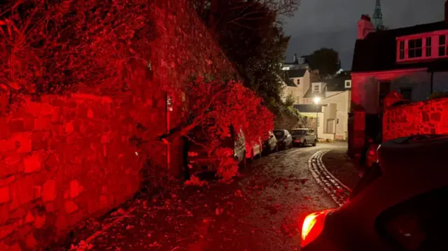 Tree down in Guernsey