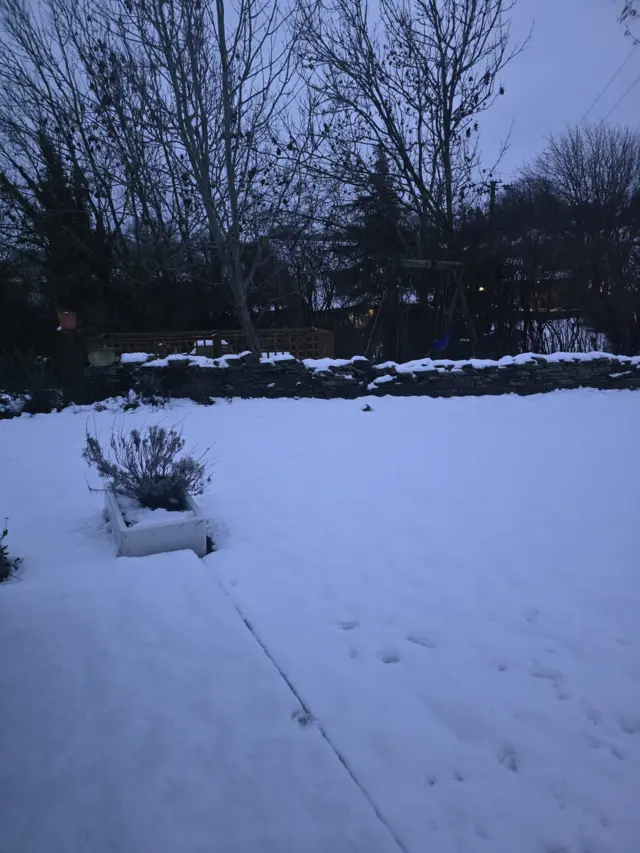 A snowy garden