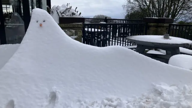 A small snowdrift has been turned into a snowman with the addition of coal for eyes and a carrot for a nose