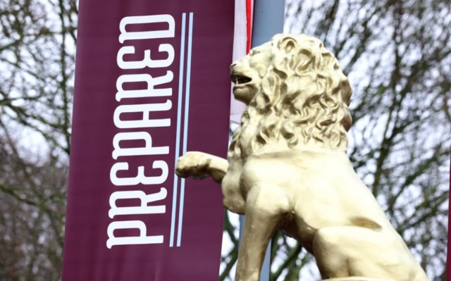 Close view of a lion outside the stadium