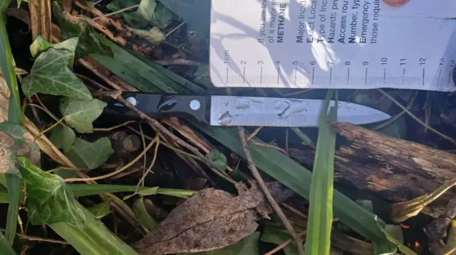 A black-handled knife lying in long grass