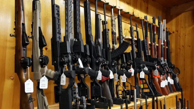 A row of rifles standing upright.