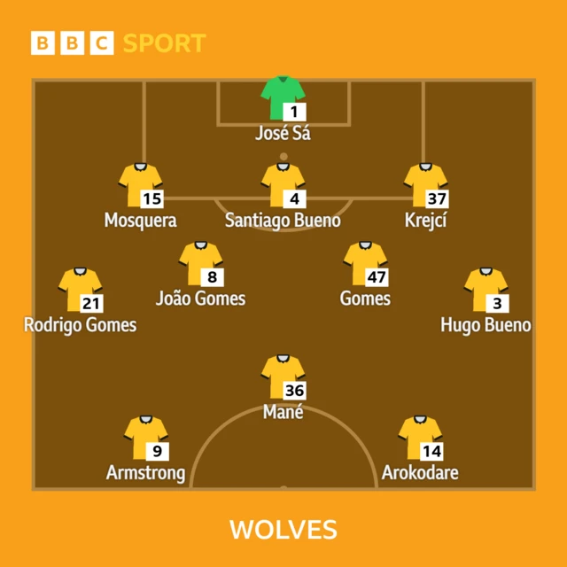wOLVES xi