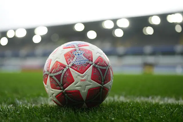 Matchball sits on the grass at Den Dreef