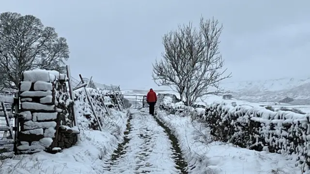 A person in a red coat walking down a driveway in the snow.