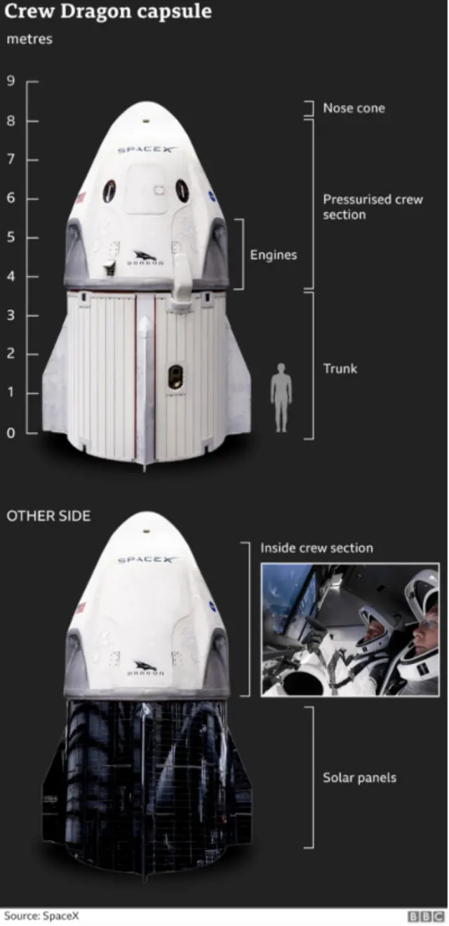 A graphic details the parts of a Crew Dragon capsule including the nose cone, pressurised cabin section, trunk and solar panels