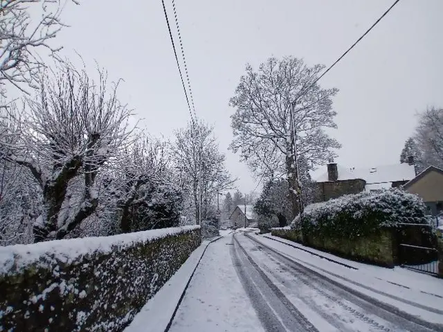 A road, pavement and trees covered in snow
