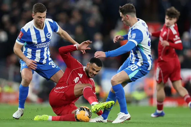 Joel Veltman of Brighton & Hove Albion, Cody Gakpo